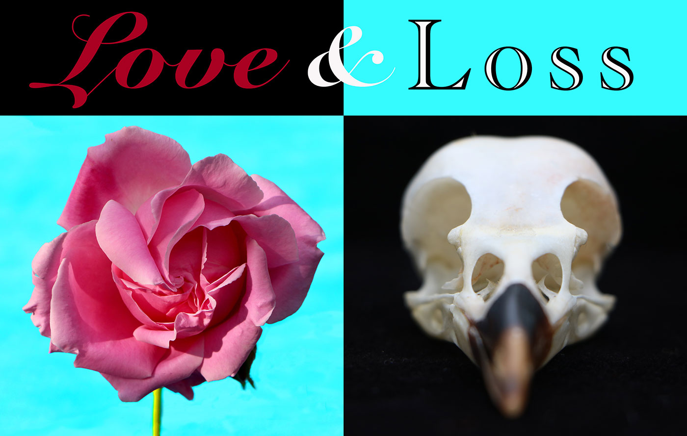 Love and Loss